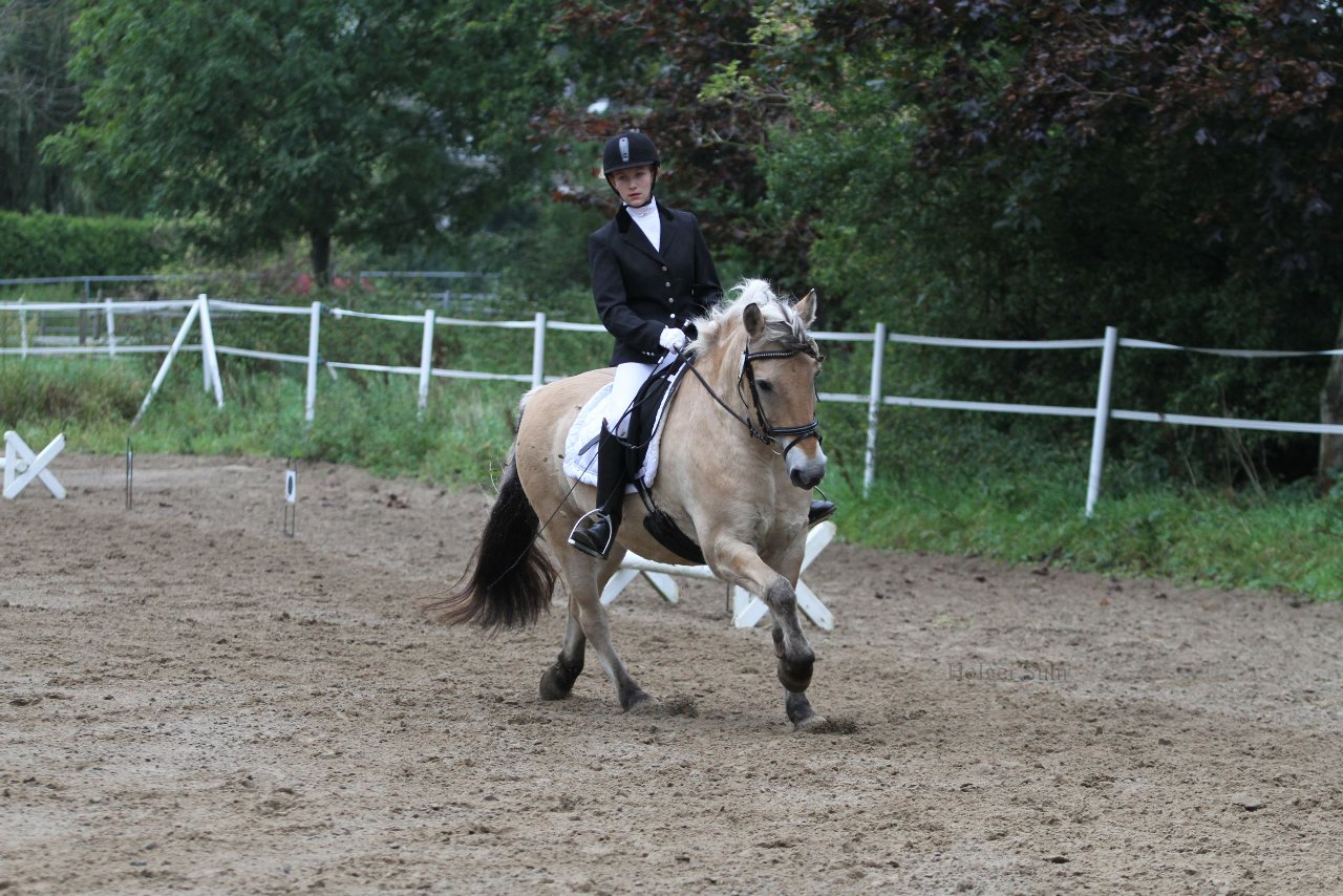 Bild 447 - WBO-Turnier am 18.9.11